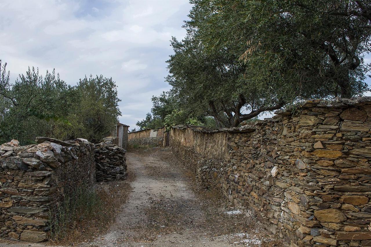 Casa Rural Julio Vegas Santiago Del Campo Esterno foto